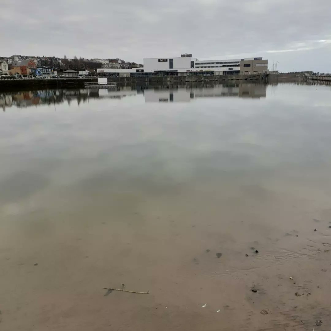 Jon Rumley tweet media