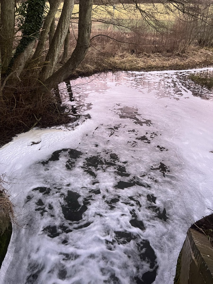 Paul Jennings tweet media