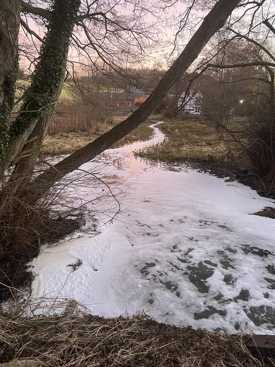 Paul Jennings tweet media