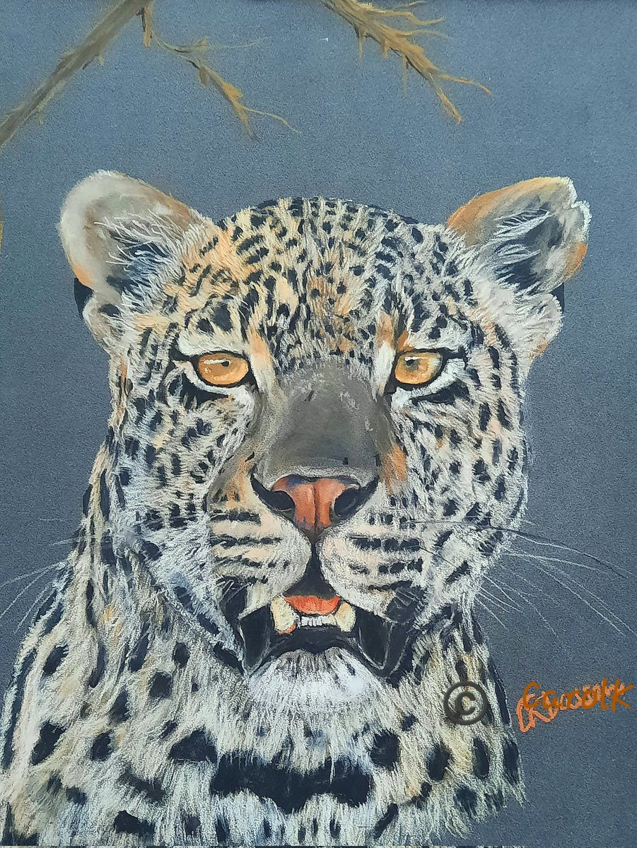 CarolK (@thesafariaddict) on Twitter photo Well, Hellooo there. Hot off the easel, another of our Royals, my painting No.39. Thanks, <a href="/KarenCorp8/">Leopardqueen- Karen Corp</a> #wildearth Well, Hellooo there. Hot off the easel, another of our Royals, my painting No.39. Thanks, <a href="/KarenCorp8/">Leopardqueen- Karen Corp</a> #wildearth