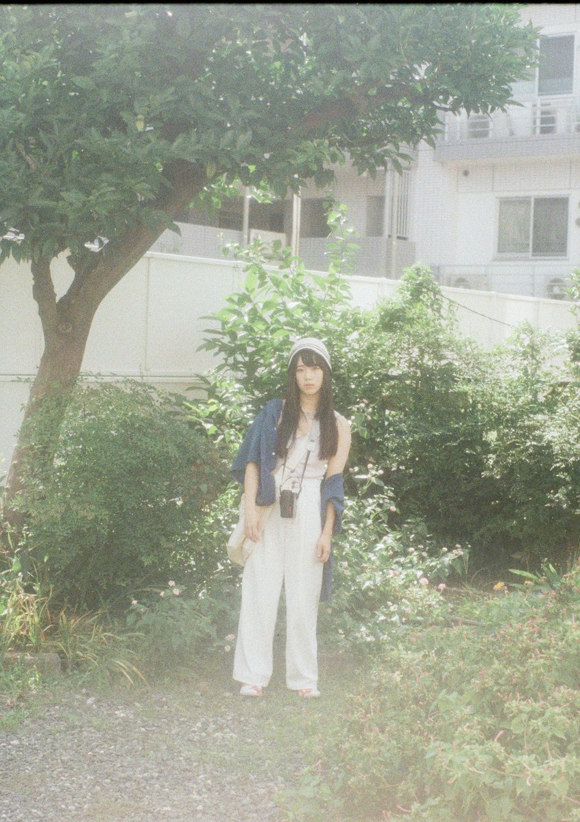 teppei_photo's tweet photo. #film
#filmphotography 
#halffilm
#codak
#penft
#cat https://t.co/Hg0dGA8Eyv