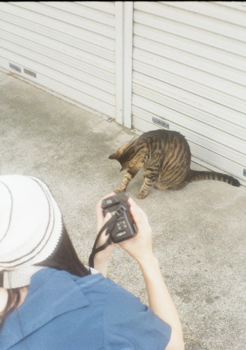 teppei_photo's tweet photo. #film
#filmphotography 
#halffilm
#codak
#penft
#cat https://t.co/Hg0dGA8Eyv
