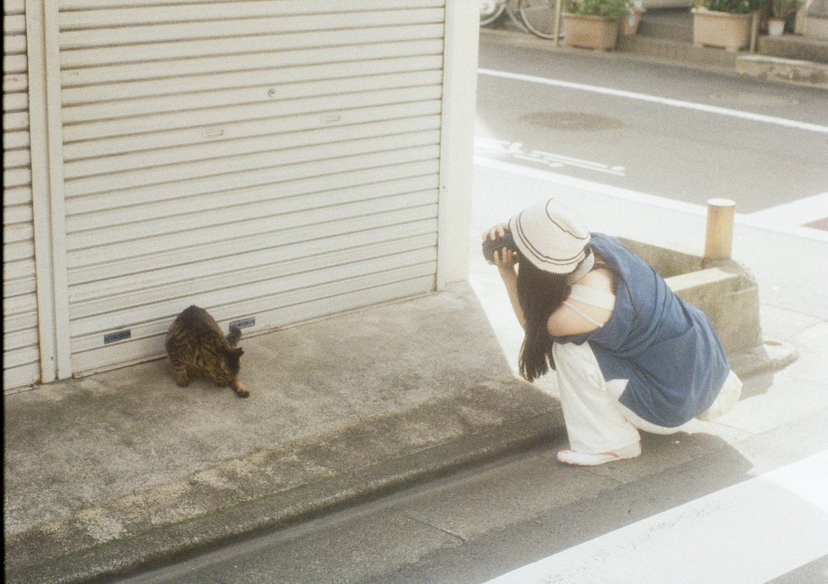 teppei_photo's tweet photo. #film
#filmphotography 
#halffilm
#codak
#penft
#cat https://t.co/Hg0dGA8Eyv