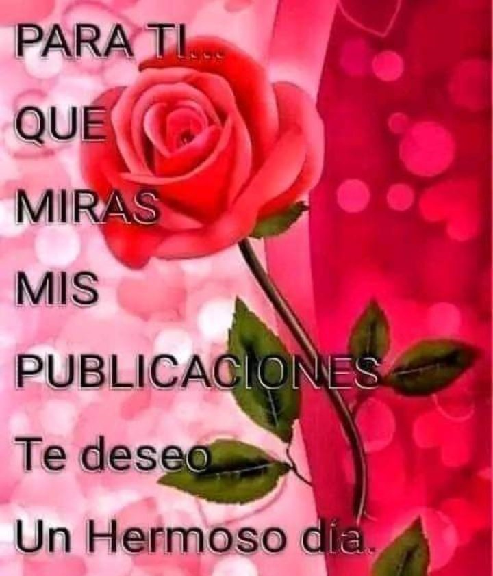 Gracias un día lleno de amor y felicidad 💕 💖 🌻🌻🍀🌎🌏🌍
