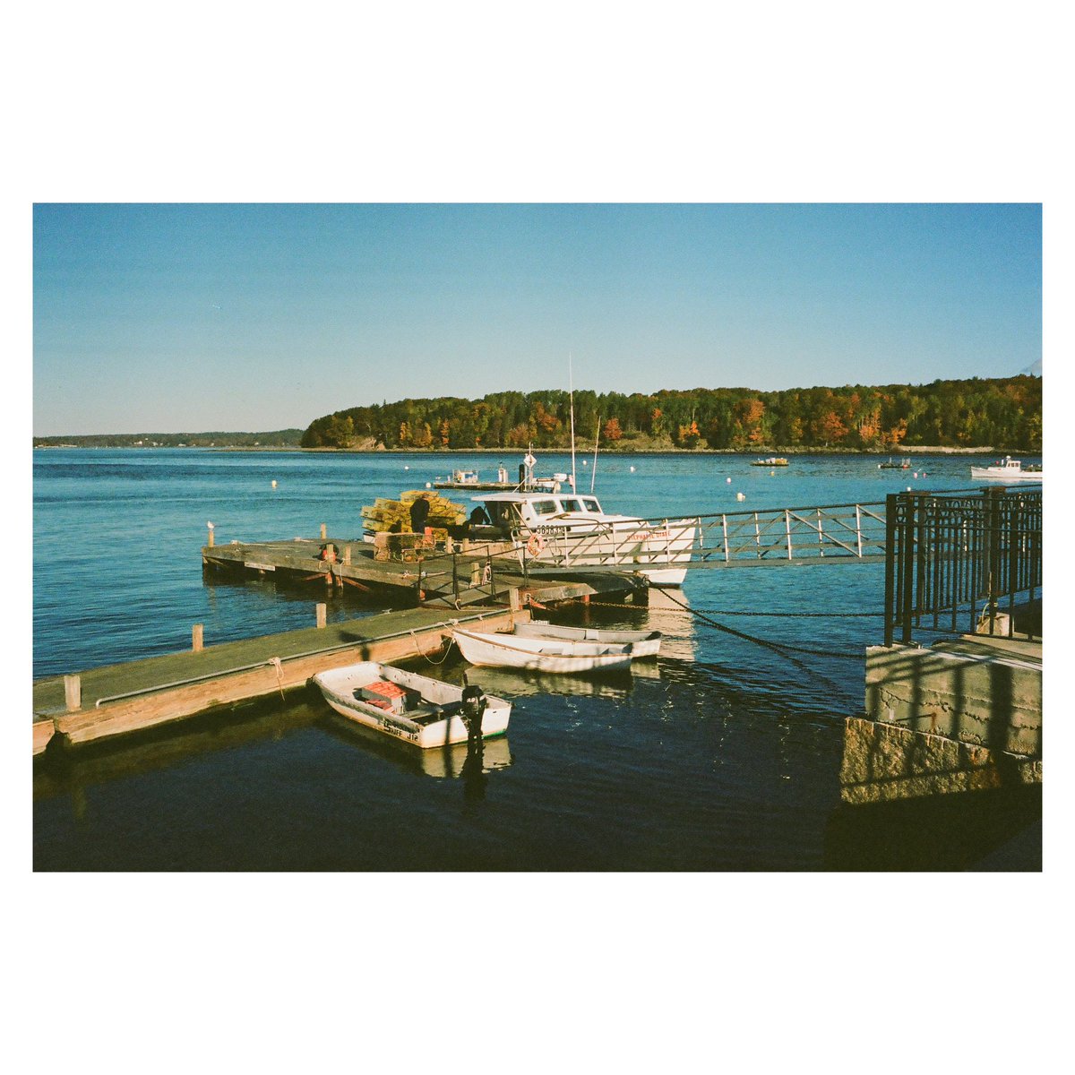 ChrisBakerF8's tweet photo. Bar Harbor, Maine 2022 https://t.co/eqqlZZQJ9v