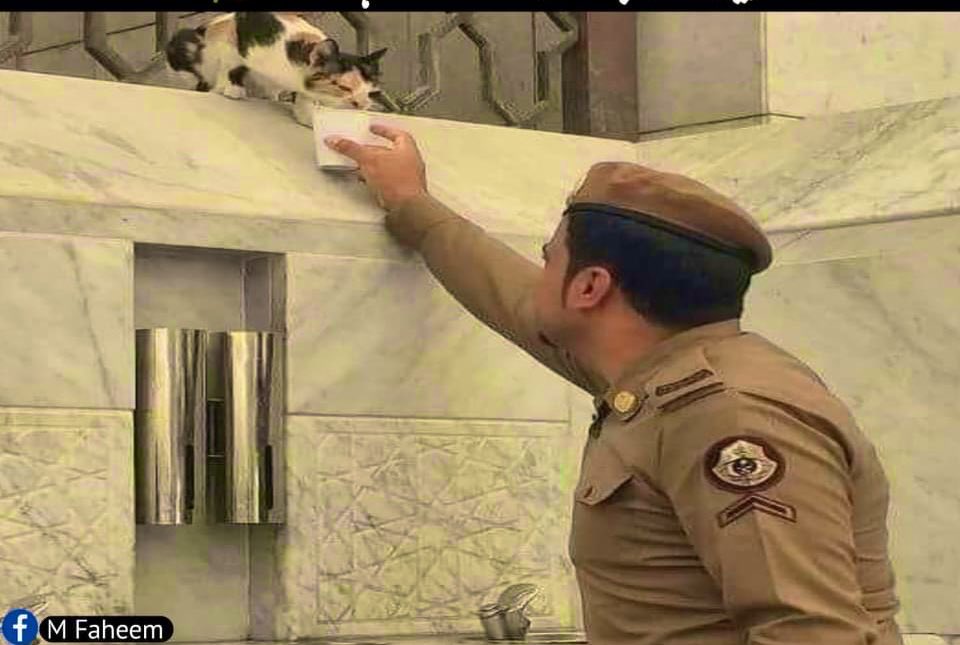 MeUmmenoor's tweet photo. اگر ہم یہ سمجھتے ہیں کہ دنیا میں بہترین مذہب ہمارا ہے تو دنیا میں بہترین کردار پیش کرنا بھی ہماری ذمہ داری ہے😊 https://t.co/1GCGmJlPbD