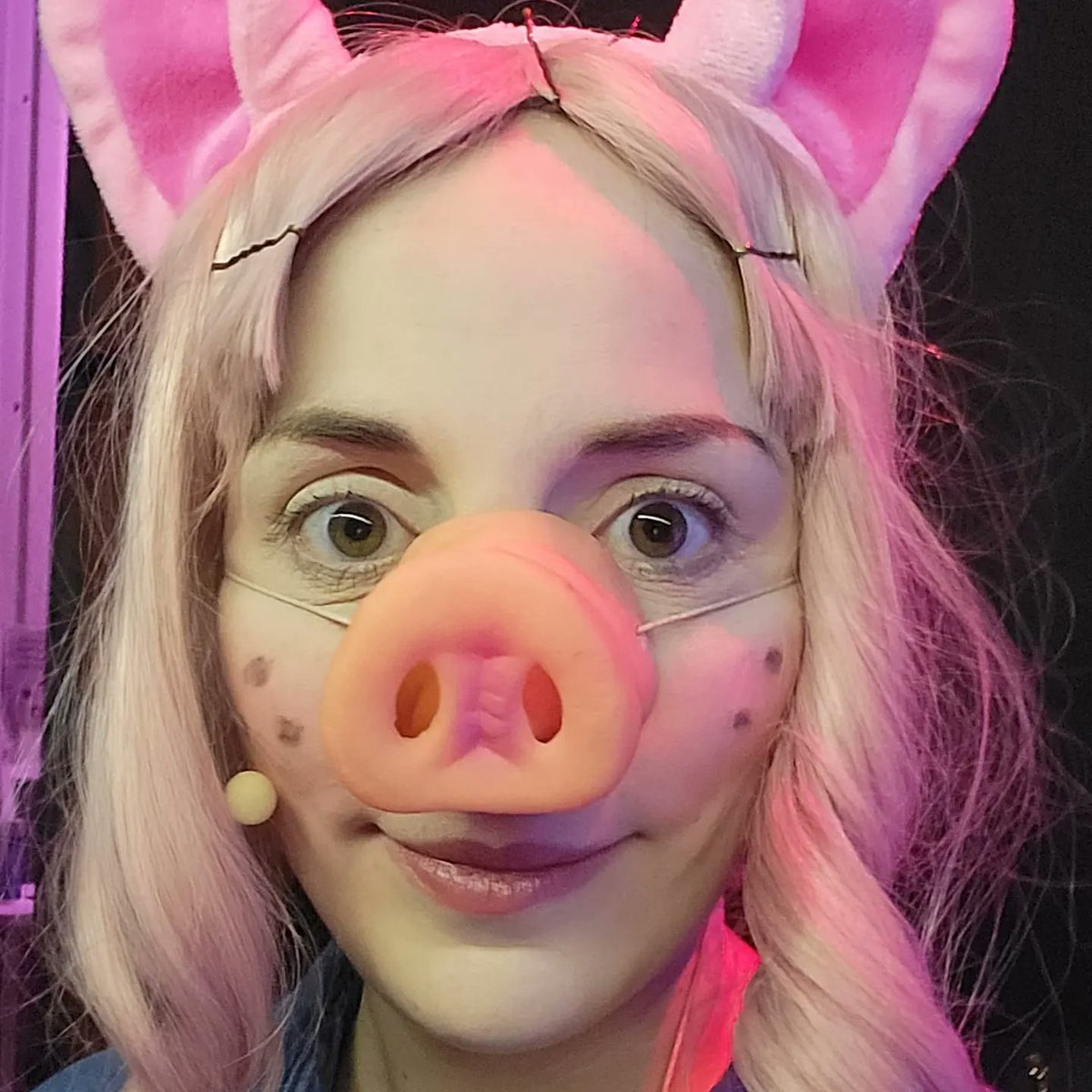 VickiGlover26's tweet photo. Meet Pearl, the oldest and bossiest of the three little pigs! If you want to see how she and her two sisters manage to defeat the big, bad wolf, come and see us @stockeldpark 11th-19th February! #threelittlepigs #stockeldpark #panto #pantolife #ohyesitis #ohnoitisnt #actorslife https://t.co/CjvE9wirVv