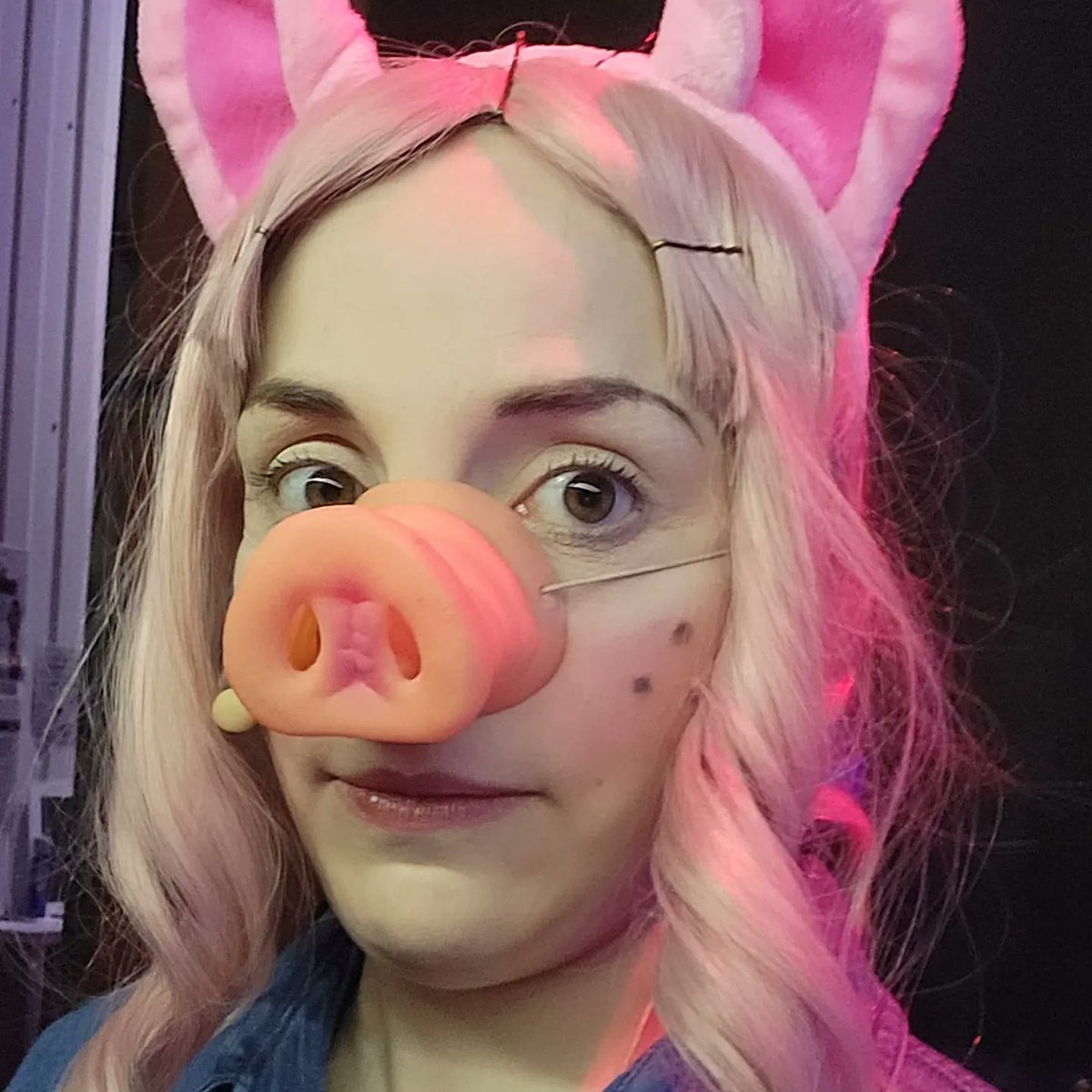VickiGlover26's tweet photo. Meet Pearl, the oldest and bossiest of the three little pigs! If you want to see how she and her two sisters manage to defeat the big, bad wolf, come and see us @stockeldpark 11th-19th February! #threelittlepigs #stockeldpark #panto #pantolife #ohyesitis #ohnoitisnt #actorslife https://t.co/CjvE9wirVv
