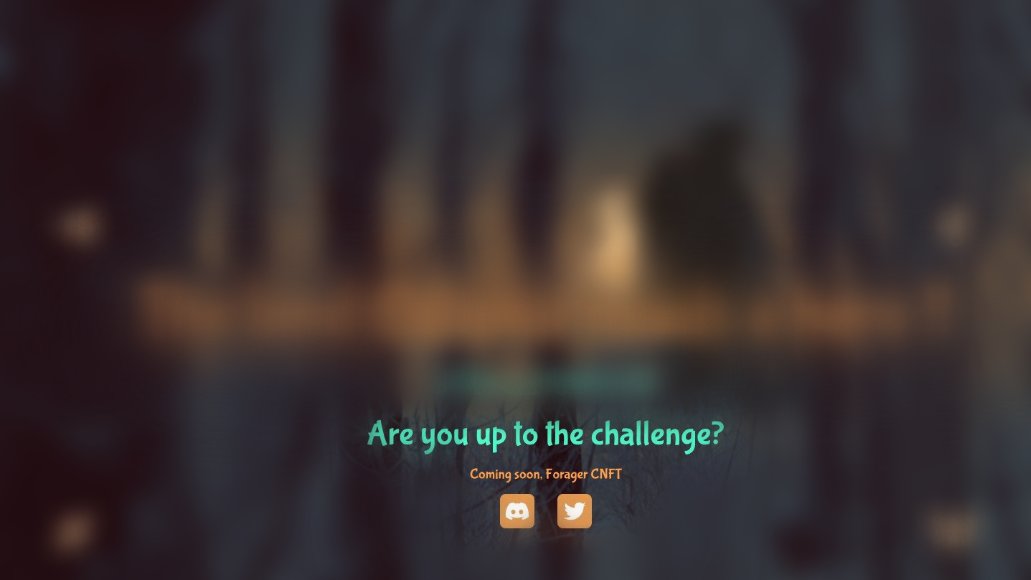 ForagerNFT tweet media