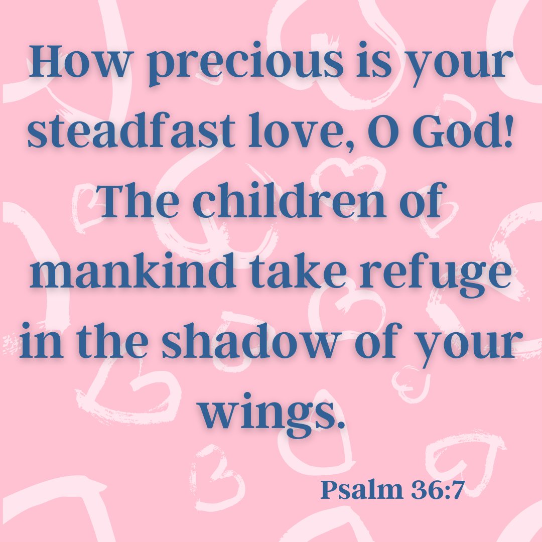 PHCSPanthers's tweet photo. While the world celebrates #ValentinesDay, we celebrate the steadfast love of our Savior! #ScriptureSunday #PHCS #BeAPanther https://t.co/BNqa1cjgbn