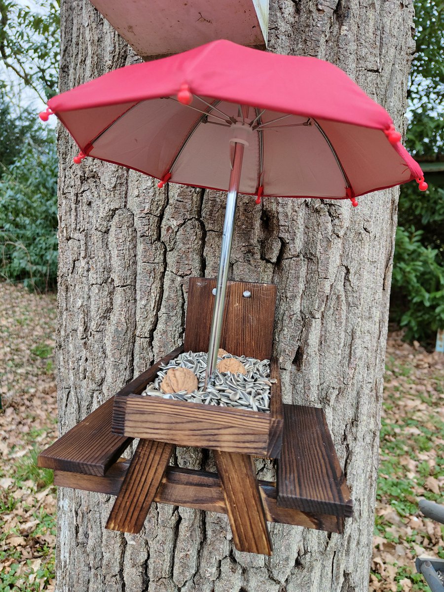 VeniseInLove's tweet photo. Installée non sans mal (saleté de clous !)

Il n'y a plus qu'à attendre le verdict pour voir si ça va plaire à ces messieurs dames 🐿️🐿️ mais aussi aux oiseaux qui iront sûrement piquer dedans ! 
#Gaga #Ecureuils #Oiseaux https://t.co/7Krmkt9Hqn