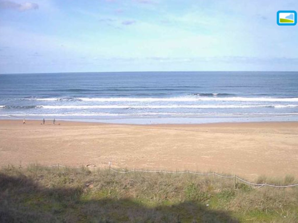 Robert Vallet tweet media