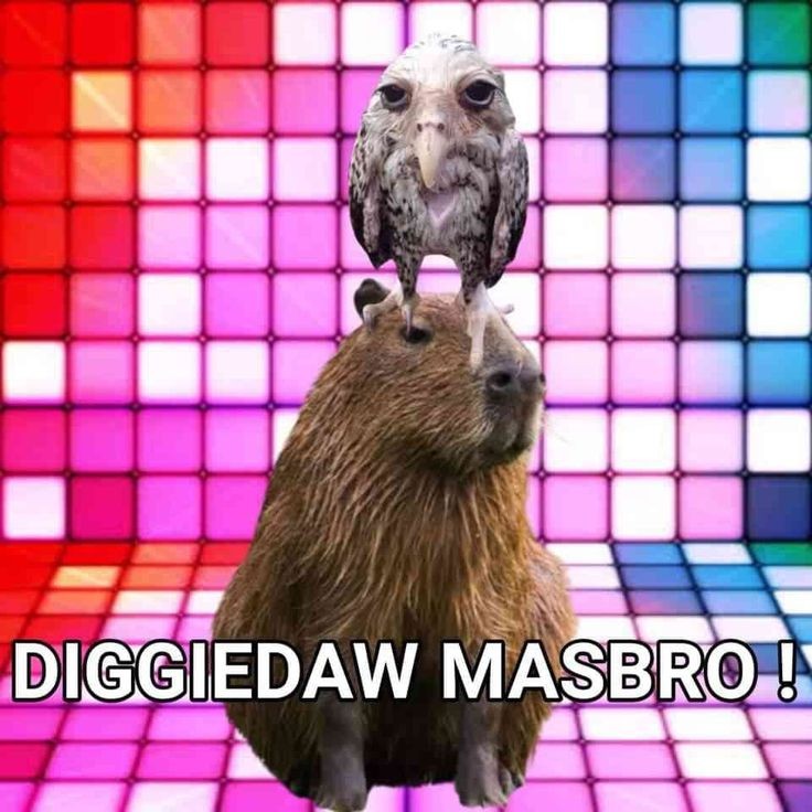 det | ngedraft tweet media