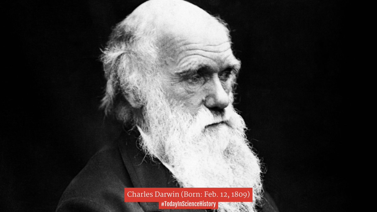 DiscoverMag's tweet photo. On this date in 1809, naturalist, geologist, biologist and the "father" of evolution, #CharlesDarwin was born. #TodayInScienceHistory
Learn more about the influential scientist at https://t.co/GHXVrwL1vP https://t.co/bRhQDqbJQg