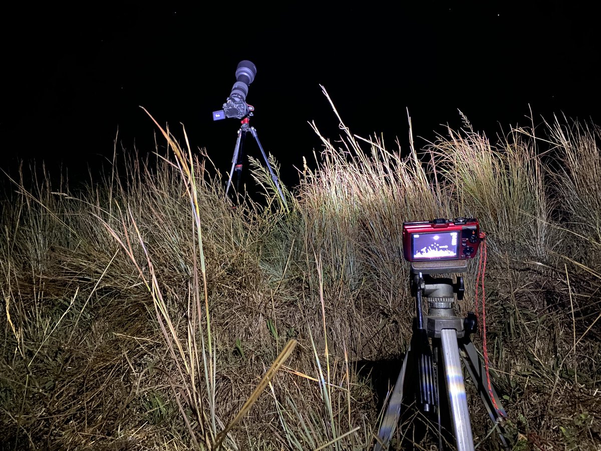 Eric Tollner | Red Earth tweet media