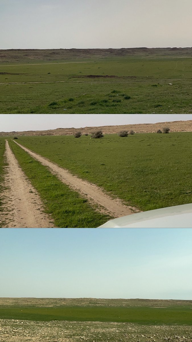 HmedaniAl's tweet photo. الحياه اصل المشقات و الدنيا ممر
تعطي الانسان ليله و ليله تحرمه

لو تعيش بدون ما تذوقك دنياك مرّ
وقتها بيمرك الحلو ما تستطعمه https://t.co/Z80zYCLw9s