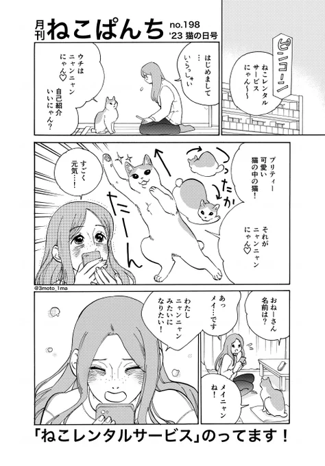 「ねこぱんち」発売です!ねこレンタルサービスからチラ見せ! 