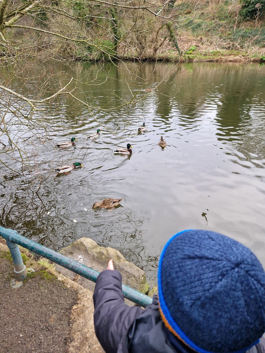 afamck's tweet photo. Getting the steps in at Lagan towpath @Liberty_IT  #LITGetsMoving https://t.co/5GNNe3DclN