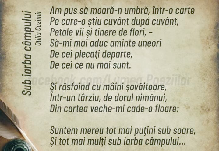 Mariana Munteanu on Twitter: "La 12 februarie 1894 se năștea Otilia