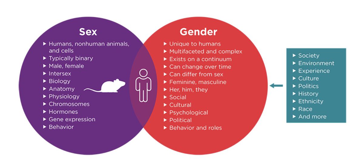 AzraHostetler's tweet photo. @LayahHeilpern Gender only exists in humans and is social context 

https://t.co/kSPz3NE6yu. https://t.co/2y6GEKUS20