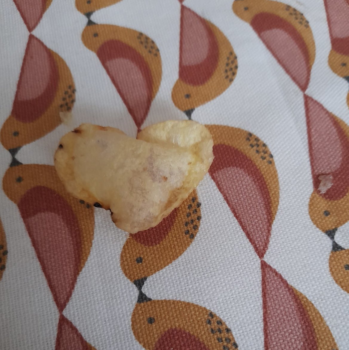 graceellenrah's tweet photo. The only photo I got before my dad ate it 😭🤞🏼 #lovefromwalkers https://t.co/GkmXhE35Kv