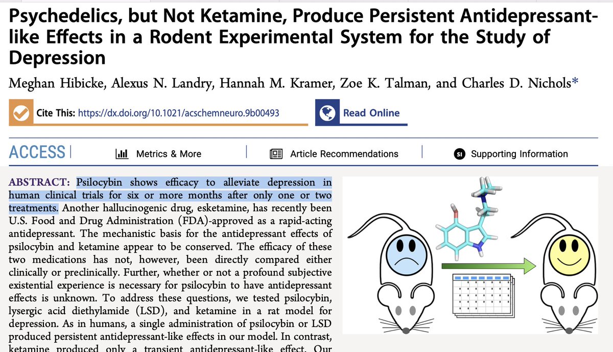 AlpacaAurelius's tweet image. Psilocybin is shown in human clinical trials to resolve depression for 6 months after just 1 treatment.

How f**king insane is that?

And how much more insane is it that people are still being put on synthetic antidepressant pills daily?