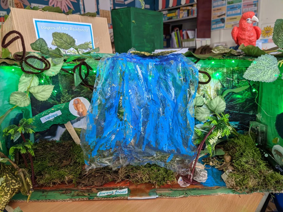 In Geography, Year 5 have made the most wonderful 3D models to show their learning on the layers of the rainforest and how species have adapted to live in each layer. The care, creativity and quality of the work is excellent! #LoveGeography #Rainforests #LoveLearning