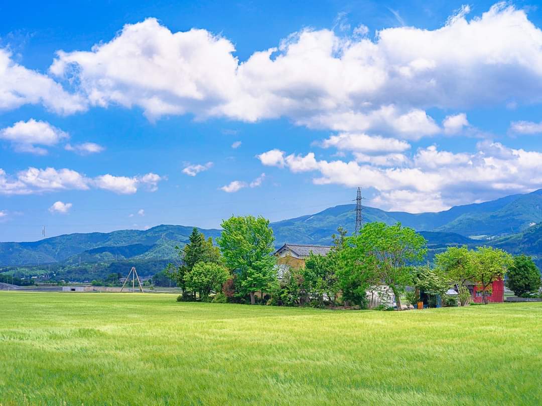 take some rest tomorrow
don't forget to look at the sky, today your mind so narrow

kapan bisa jp yah