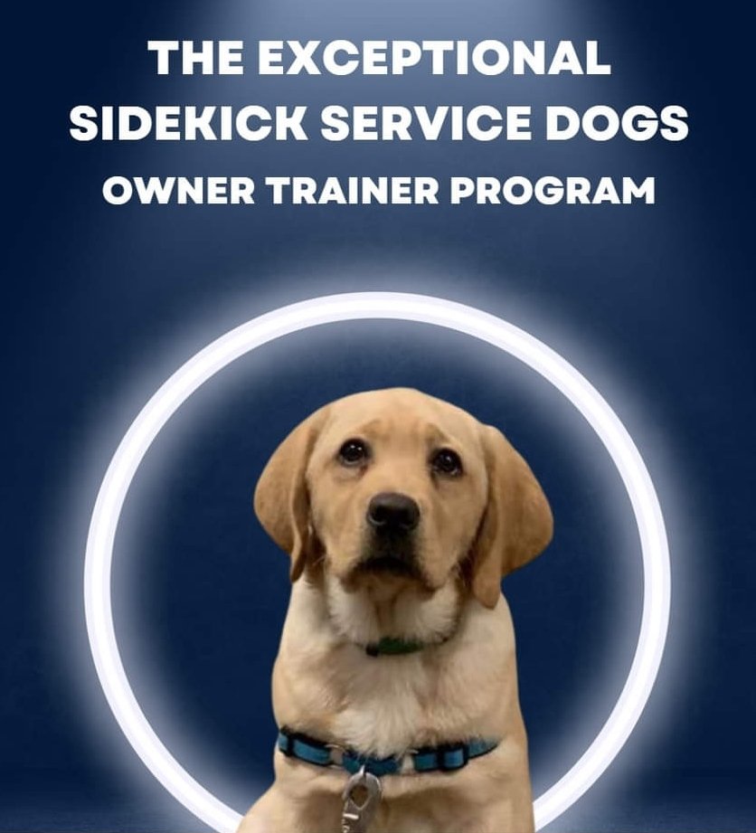 ExceptionalSDs's tweet photo. You have the opportunity to train your own dog as your service dog! Our certified trainers provide support and guidance every step of the way!
Learn more and apply today! 
https://t.co/IMoCM1hfPU
#ServiceDogsKnowHowToHeal #OwnerTrainerProgram https://t.co/WYnFEhEmc4
