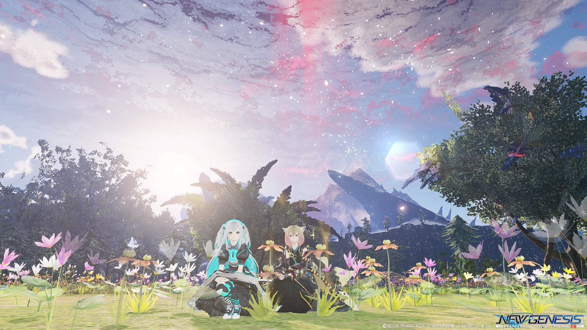 mitake_PSO2NGS's tweet image. ぷそにちゃんと始めだした。
 #PSO2NGS_SS