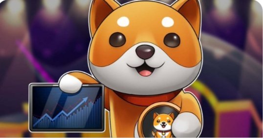 Tomorrow moon pump every body not expected 💥💥💥💥💥💥💥0.00000001999 @BabyDogeCoin