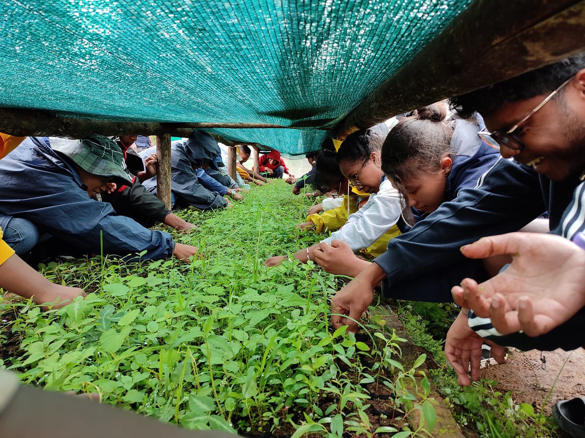 ForesTIA / ESSA-Forêts tweet media
