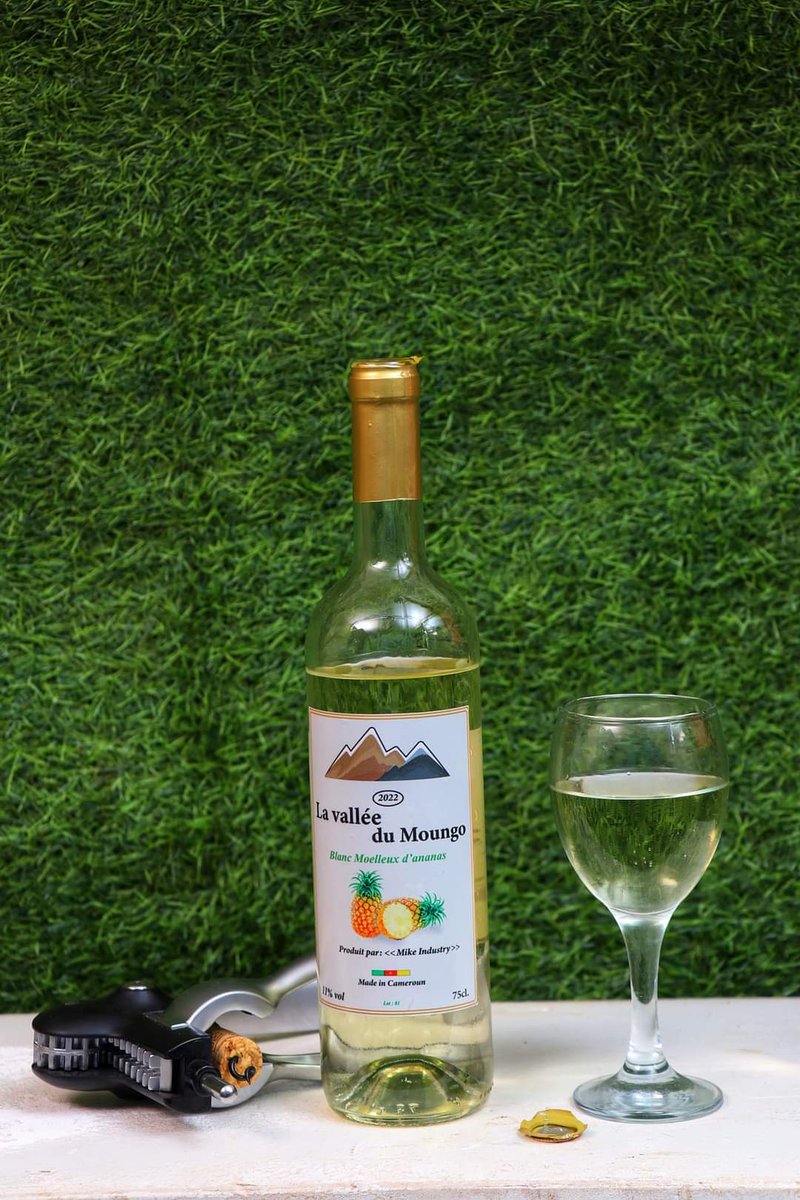 TheCameroonianZ's tweet photo. La Vallée du Moungo. 

Élaboré avec une sélection des meilleures variétés d'ananas 🍍afin de vous offrir une boisson alcoolisée d'excellente qualité. 🥂

☎️ : 655642298

#Cameroon https://t.co/eRT1ZcAcTJ