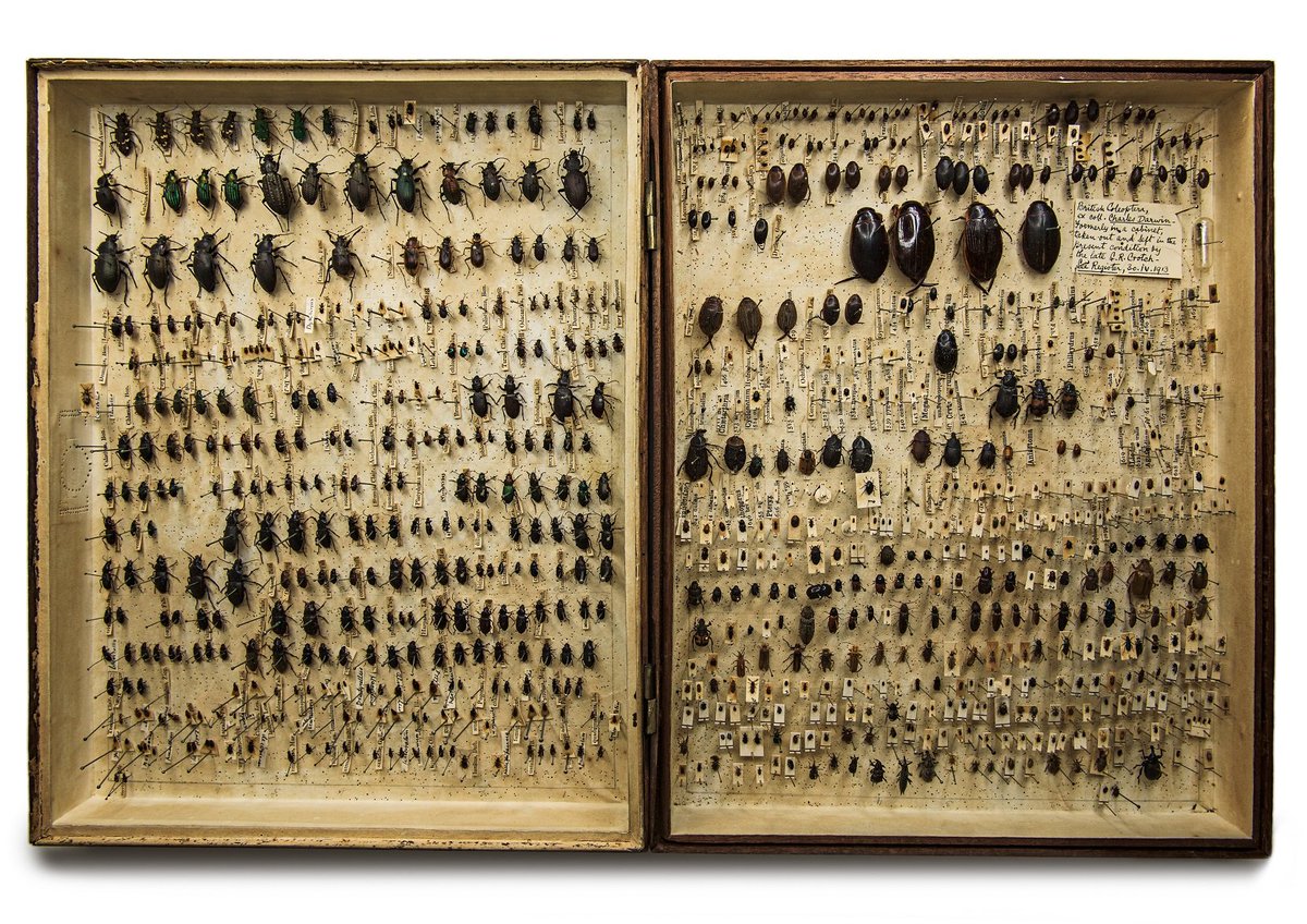 Jack Ashby tweet media