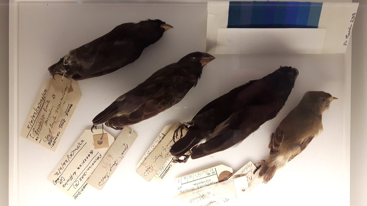 Jack Ashby tweet media