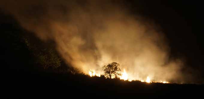 icimod's tweet photo. The #ForestFire season is closing in! 🔥🌲
Our dashboard, built in collaboration with the Department of Forests & Soil Conservation, @MOFENepal, gives near real-time updates on #ForestFires in #Nepal
👉 https://t.co/3qvd1kOOCY
#Wildfire #MovingMountains #DataIntoAction #HKH https://t.co/rbCd3uIzmU