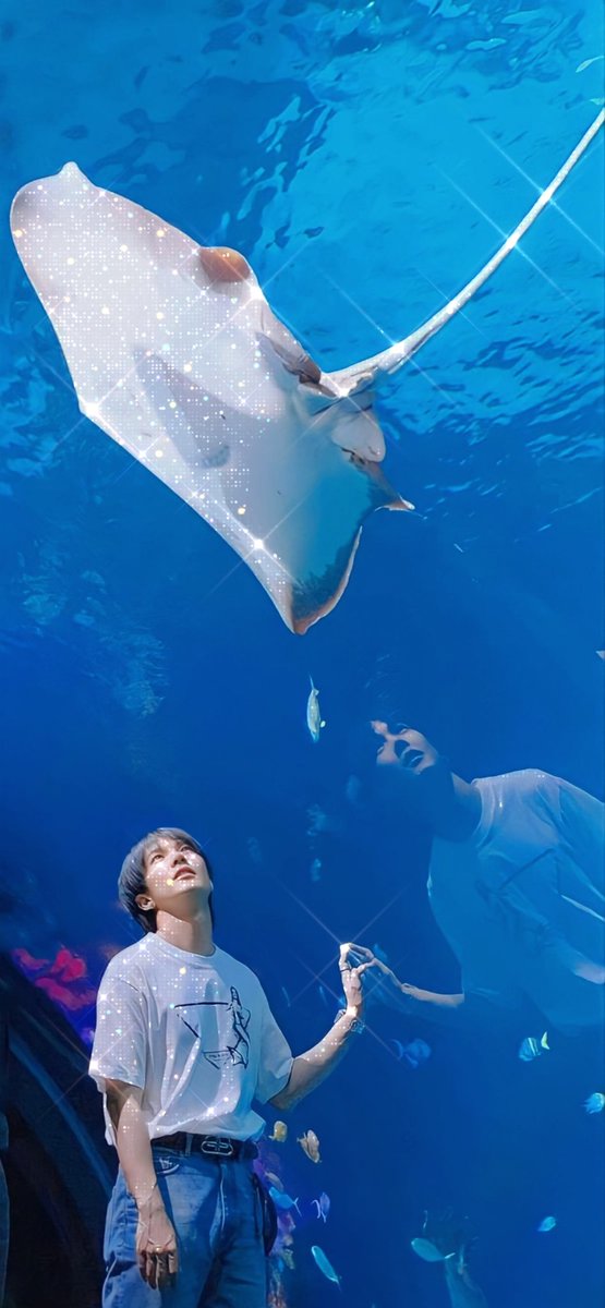 Raffie ∞ Biu's ∞ 💙🐉❤️‍🔥 🪷🦭🍋 tweet media