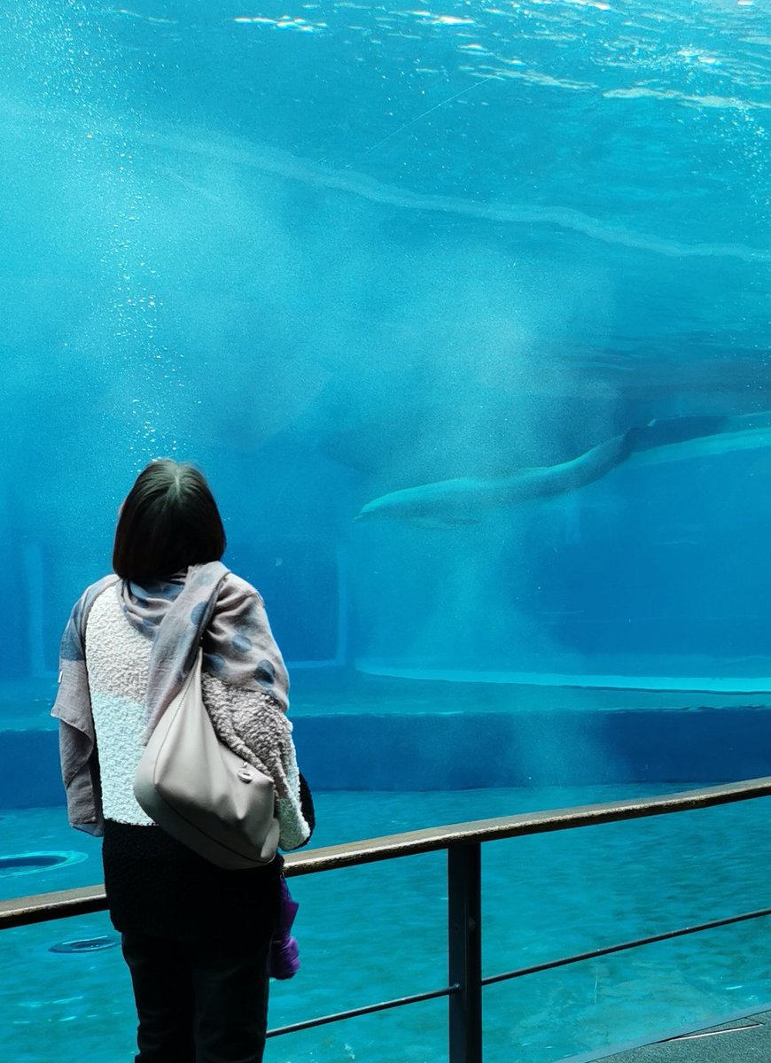 Raffie ∞ Biu's ∞ 💙🐉❤️‍🔥 🪷🦭🍋 tweet media