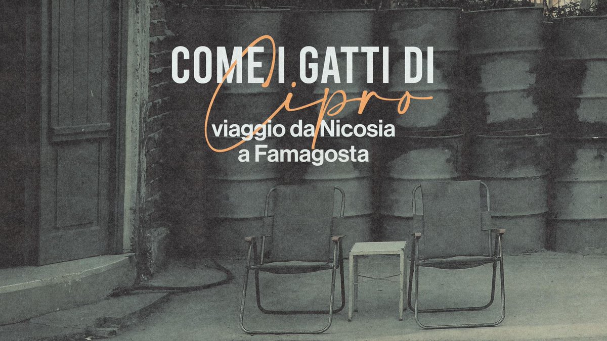 I gatti di Nicosia, la città che si presenta come l'ultima capitale divisa d'Europa, passano senza passaporto dal nord al sud di Cipro. Sono un simbolo di speranza, guida silenziosa in questo viaggio tra le voci degli artisti ciprioti. #Tresoldi, qui bit.ly/comeigatti