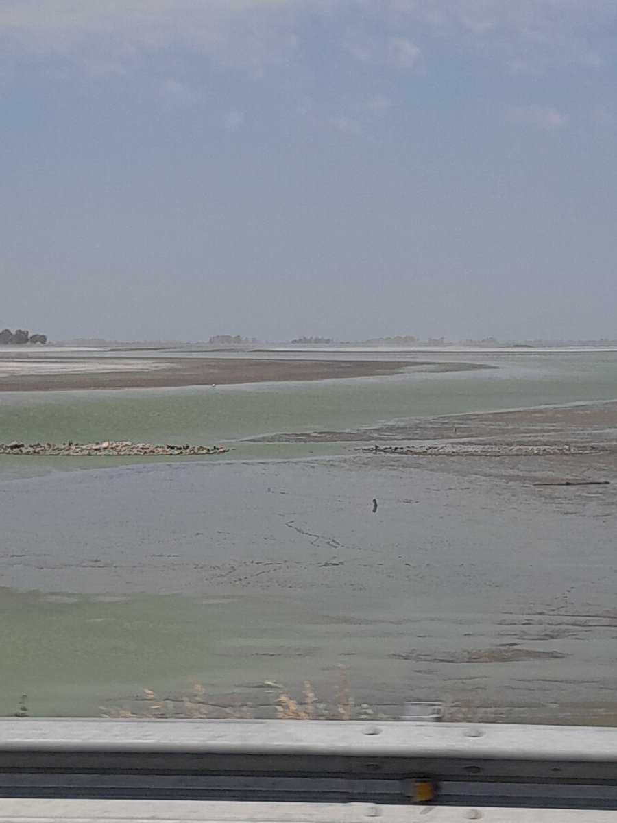 Ssluden a la Laguna de Gomez que se nos va...
#Sequía 
#SequiaLibertadora