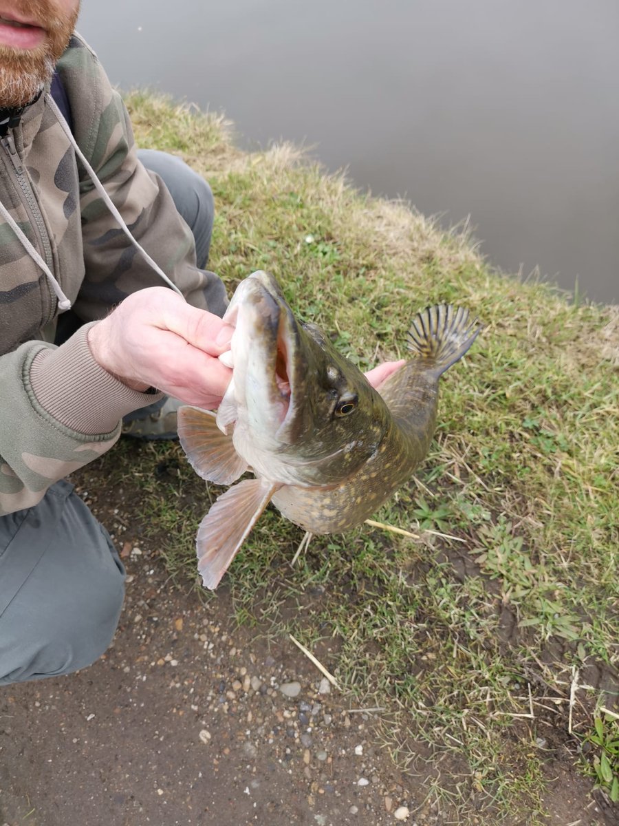 Amazing Sunday. Pike fishing with friends. And catching a new PR: 89cm
