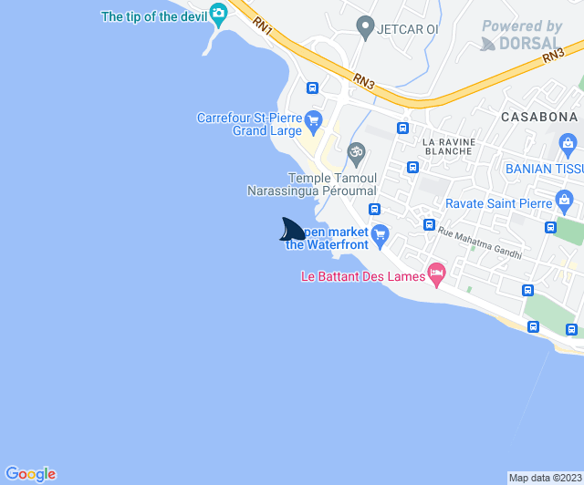 Centre Sécurité Requin tweet media