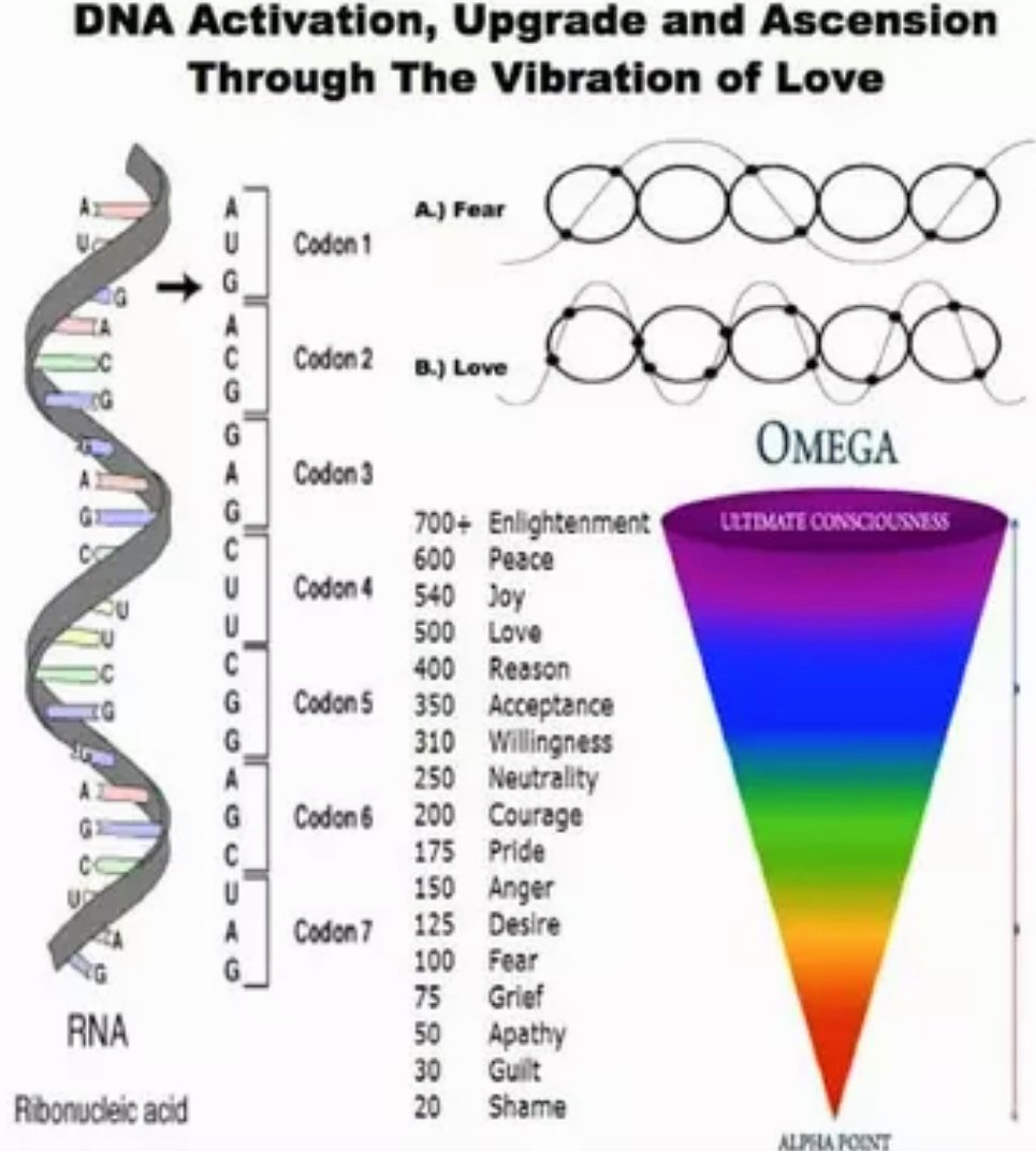 krystallineaura's tweet image. Your vibration is the key to unlocking your heaven on earth as that is a state of consciousness! Your DNA has angelic &amp;amp; galactic wisdom, your soul history, psychic gifts &amp;amp; abilities. Most importantly it heals you &amp;amp; allows this planet to heal from distortions. You have the power!