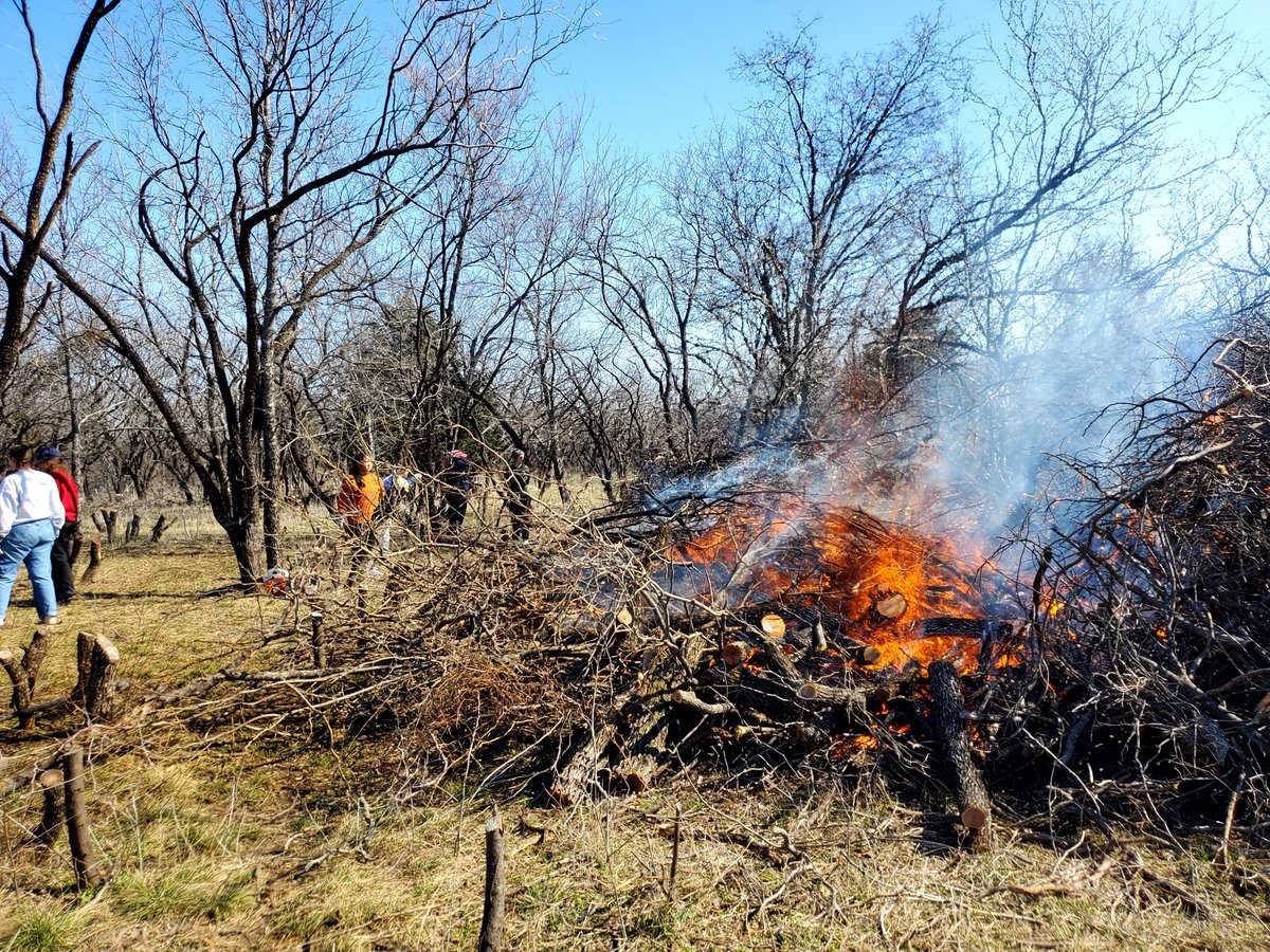 ThomasScienceEd🌱🦋🌎 tweet media