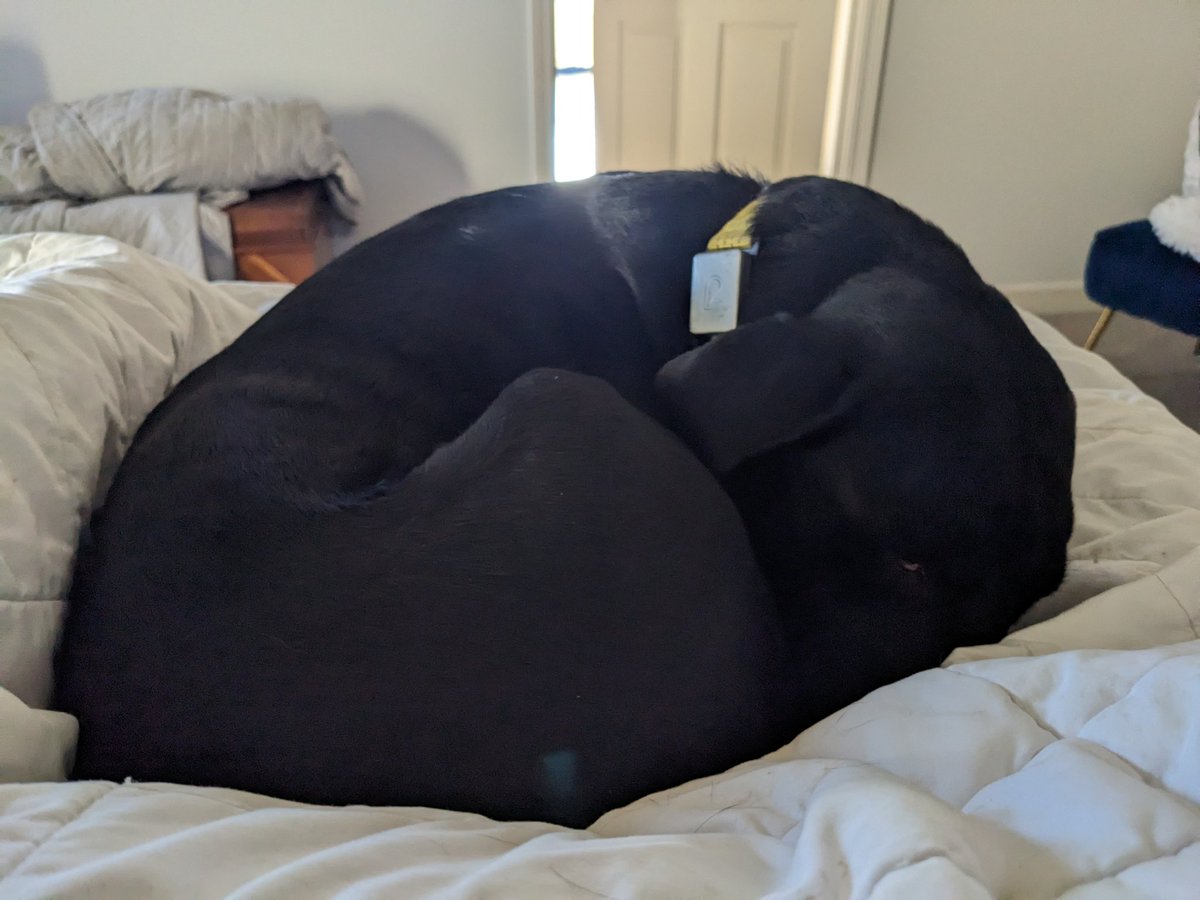 David Goldman tweet media