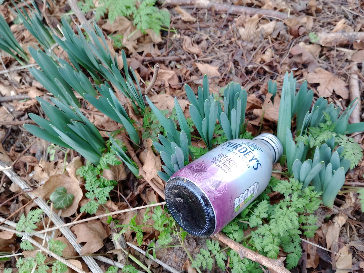 skinoverbone's tweet image. How ironic that @Purdeys tagline is 'Energy as nature intended'.  One of their consumers clearly had enough energy to dump the empty bottle on this emerging patch of nature but not enough to put it in a bin. Don't worry #tosser, I picked it up and put it in a bin for you.