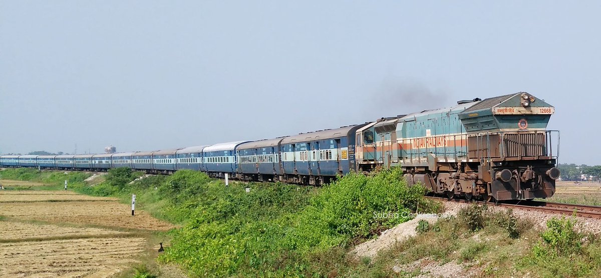 NFR_Enthusiasts's tweet photo. The Most Famous Train among the ER &amp; NFR based Railfans !!

#Kalyan WDG4 #12668 with 12525 #Kolkata–#Dibrugarh #IndraniExpress/#DihingExpress at a curve near #Dhupguri

📸: @Subha_20002 
#NFRailEnthusiasts

@drm_tsk @ManagerRailway @RailNf @drmsdah @EasternRailway @RailMinIndia https://t.co/qR2xJsYsGe