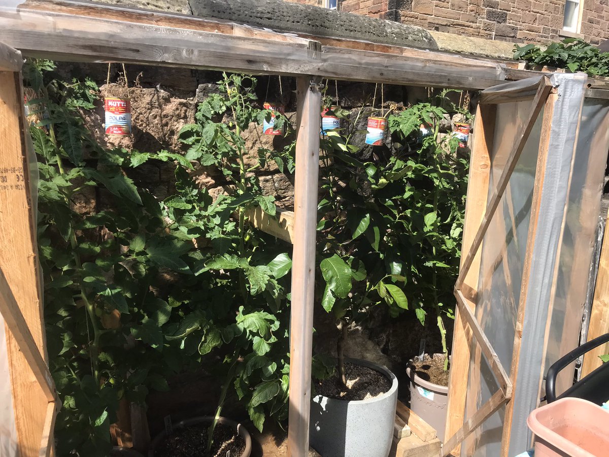 Bo’ness Academy Introduction to Horticulture tweet media