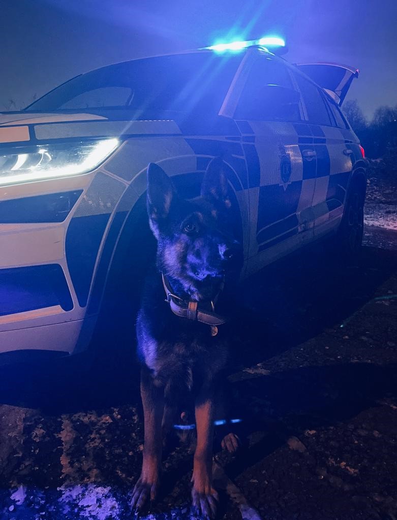 MerPolDogs's tweet photo. PD's ZAK, YOGI and ZARGO teamed up to help colleagues with a vehicle that had failed to stop and its occupants had made off on foot. 3 x males arrested for numerous drug offences. PD SKYE then assisted to search the vehicle and located a quantity of cash. #Syn4 https://t.co/JbUCg8IIaL