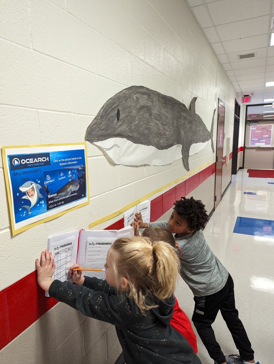 Kelly Hammond tweet media